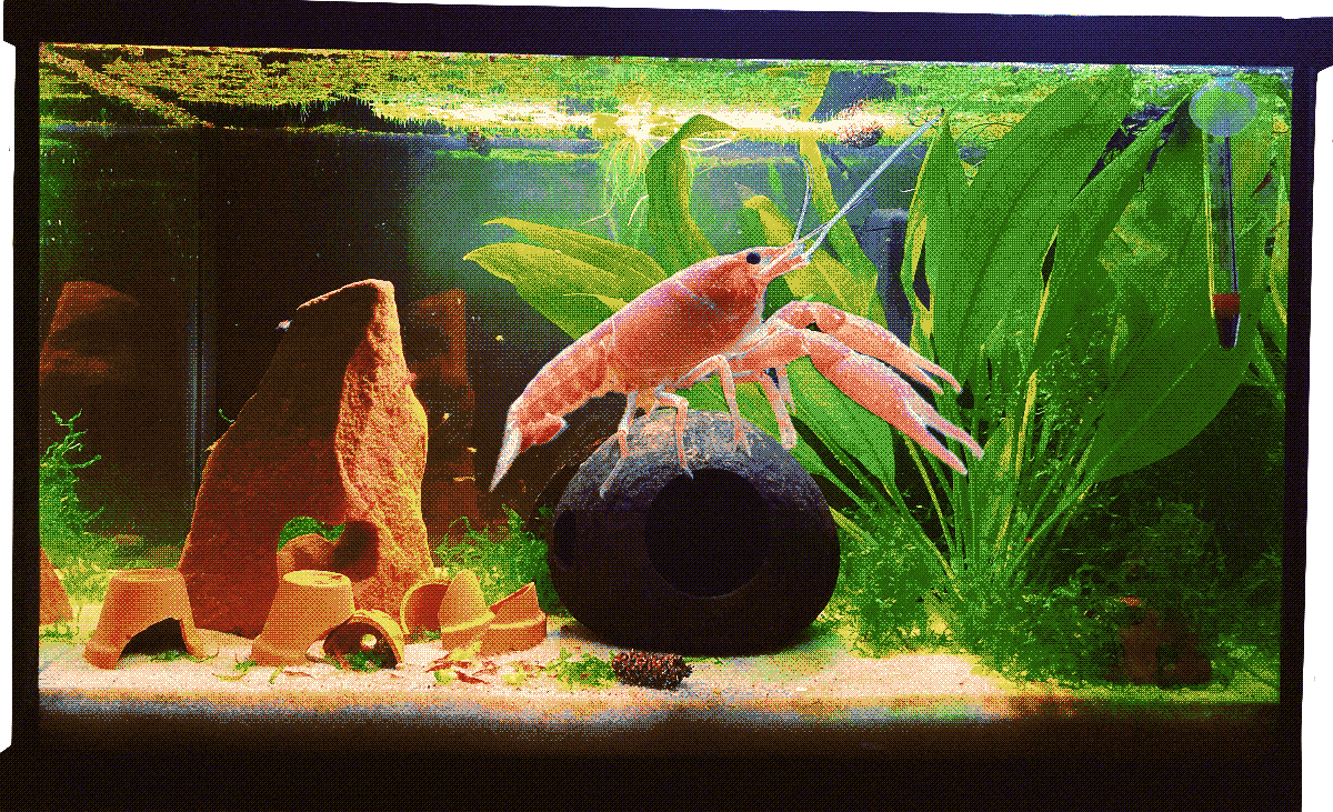 aquarium