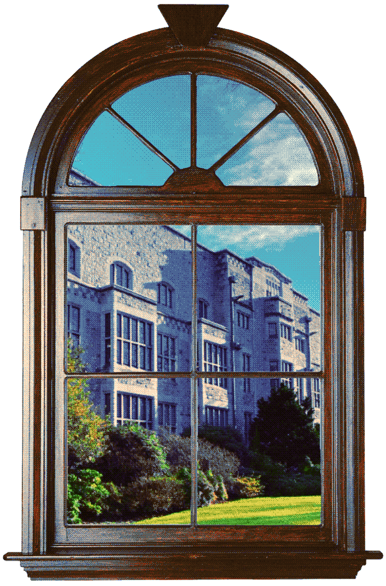 window