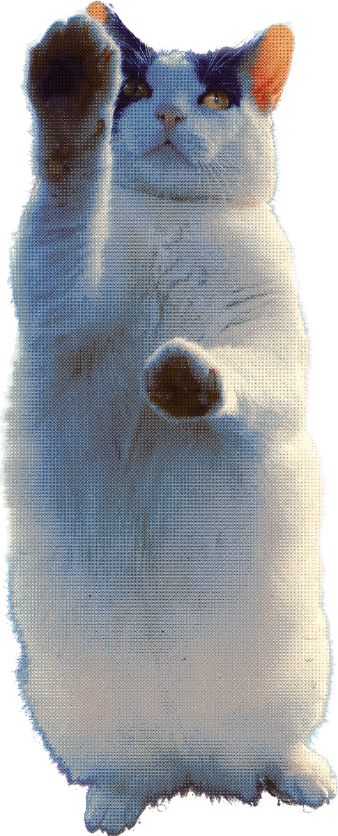 Elliot
