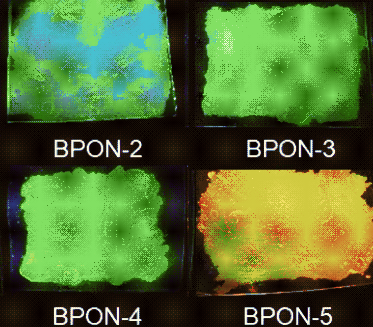 BPON